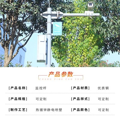 监控杆 单立柱 / 带支臂枪机监控立杆 多种规格定制 厂家直销 欢迎咨询